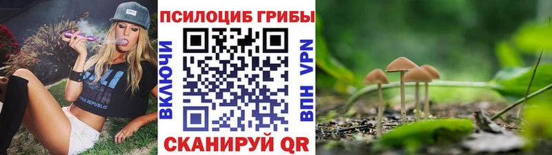 Галлюциногенные грибы ЛСД  где купить   Горняк 